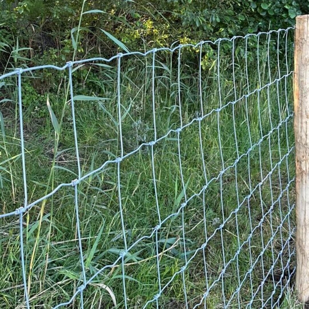 Waarom Kiezen voor Een Metalen of Draadomheining?