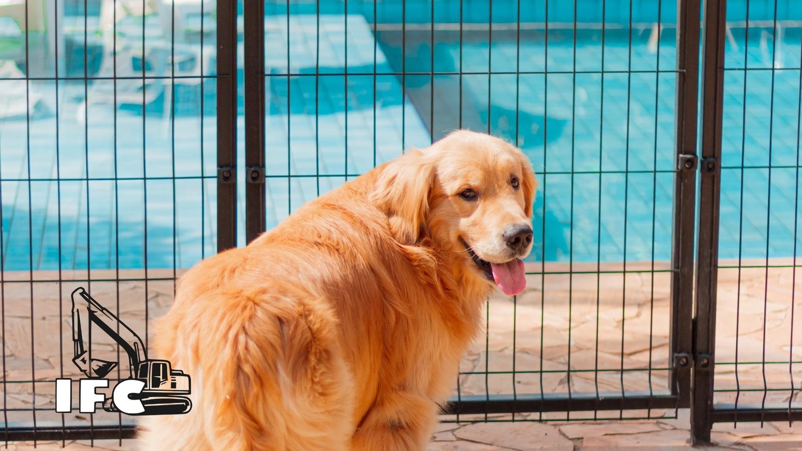 Een hondenhek dat stevig en hoog is, betekent vrijheid voor de hond en rust voor het baasje.
